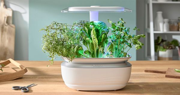 Grow Sustainably: The Eco-Friendly Guide to Smart Gardening