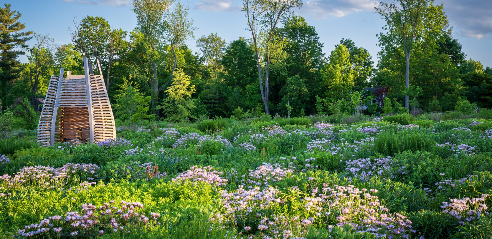 Sustainable Gardening Made Easy with Smart Tech